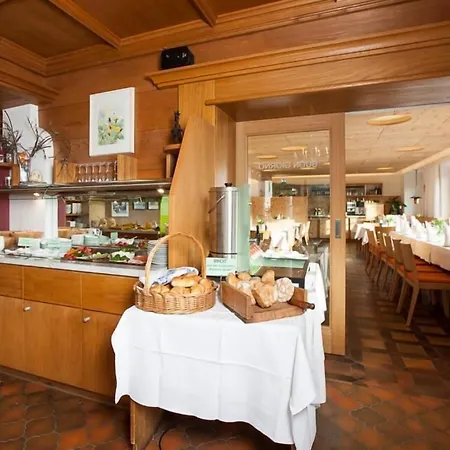Hotel Gasthof Handl-2